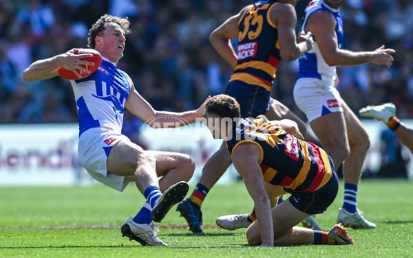 AFL 2025 Round 03 - Adelaide v North Melbourne - A-58223671