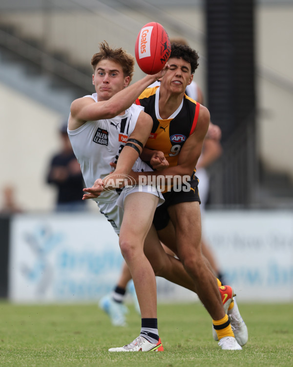 Coates League Boys 2025 Round 01 - Dandenong Stingrays v Geelong Falcons - A-58224482