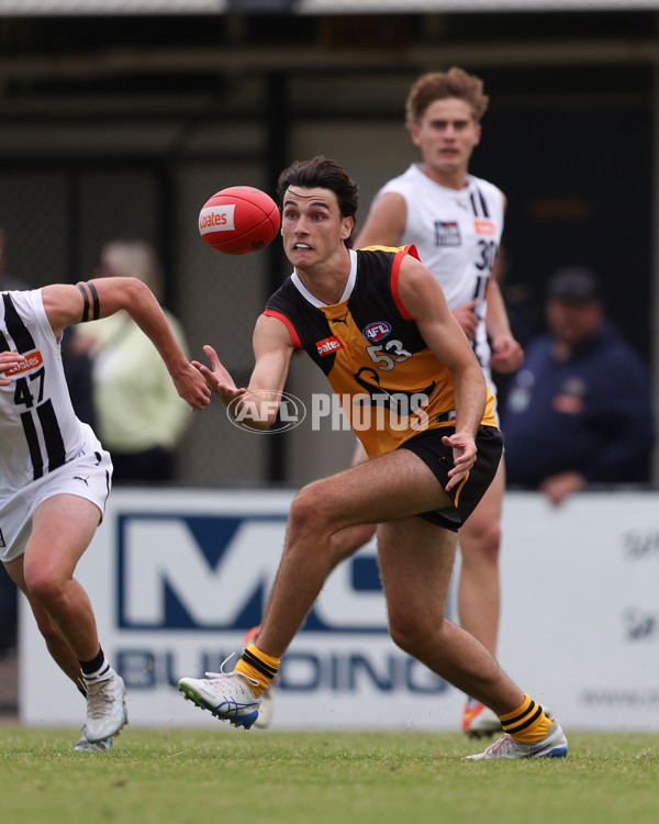 Coates League Boys 2025 Round 01 - Dandenong Stingrays v Geelong Falcons - A-58224483