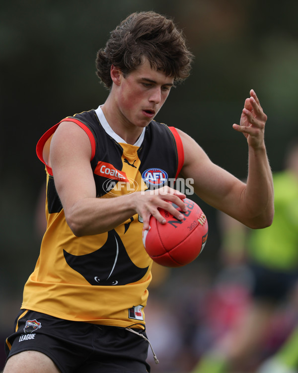 Coates League Boys 2025 Round 01 - Dandenong Stingrays v Geelong Falcons - A-58224485