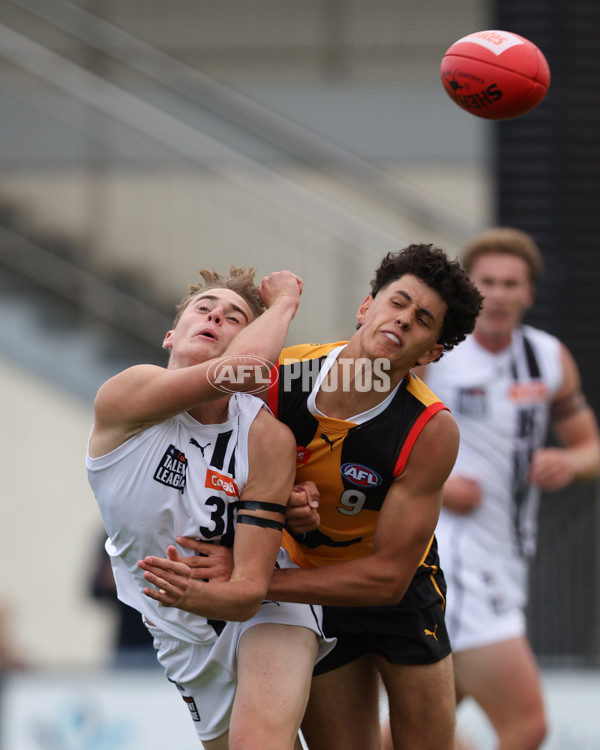 Coates League Boys 2025 Round 01 - Dandenong Stingrays v Geelong Falcons - A-58224486