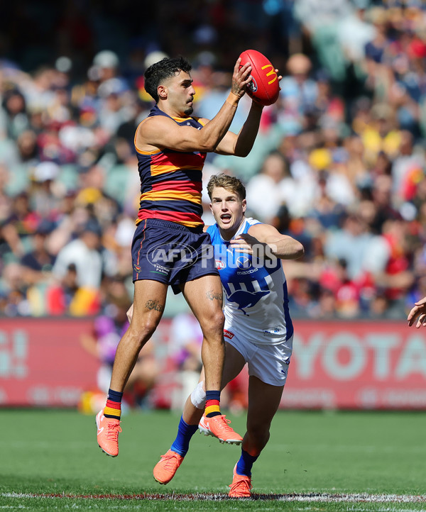 AFL 2025 Round 03 - Adelaide v North Melbourne - A-58224491