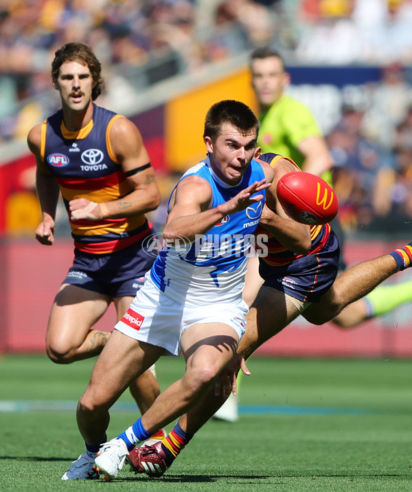 AFL 2025 Round 03 - Adelaide v North Melbourne - A-58224504