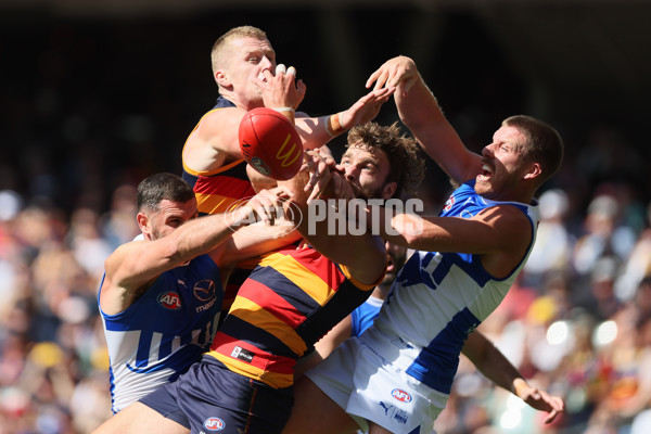 AFL 2025 Round 03 - Adelaide v North Melbourne - A-58224506
