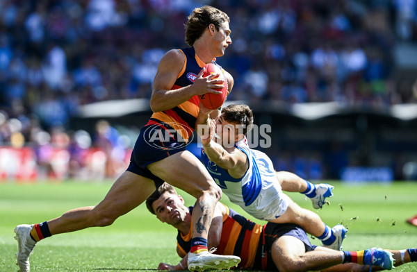 AFL 2025 Round 03 - Adelaide v North Melbourne - A-58224511