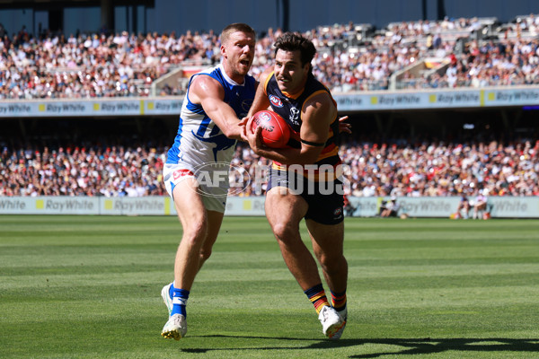 AFL 2025 Round 03 - Adelaide v North Melbourne - A-58224516