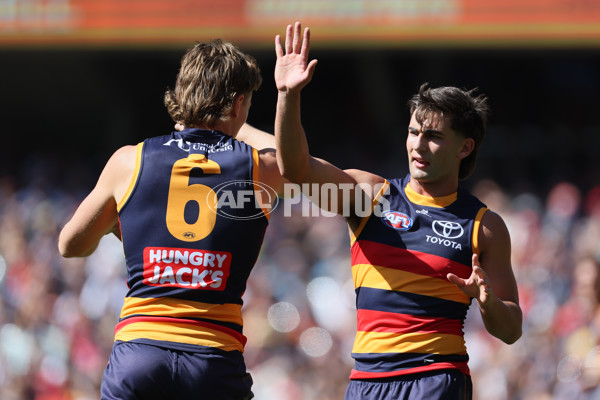 AFL 2025 Round 03 - Adelaide v North Melbourne - A-58224517