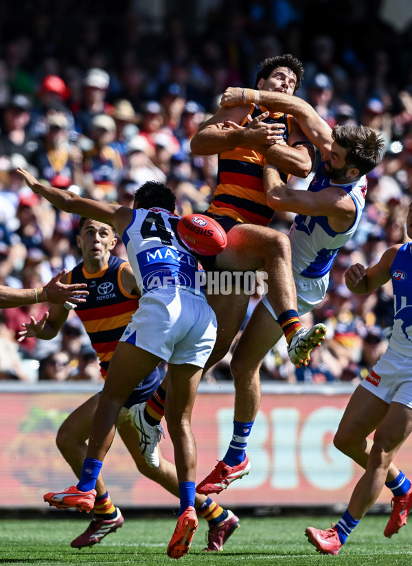 AFL 2025 Round 03 - Adelaide v North Melbourne - A-58224533