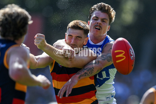 AFL 2025 Round 03 - Adelaide v North Melbourne - A-58224540