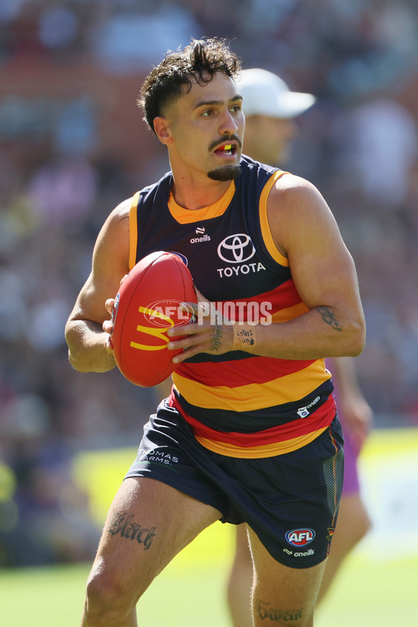 AFL 2025 Round 03 - Adelaide v North Melbourne - A-58224542