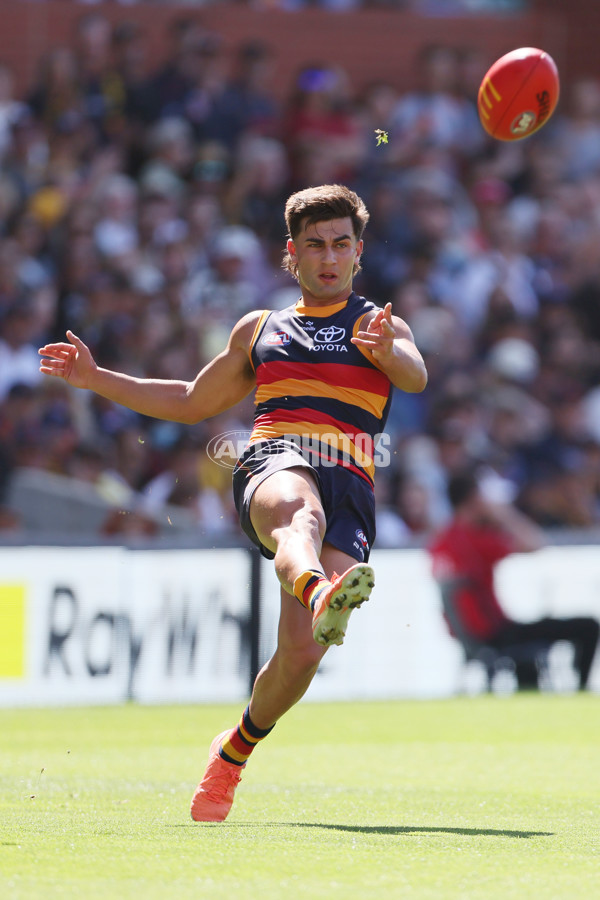 AFL 2025 Round 03 - Adelaide v North Melbourne - A-58224546