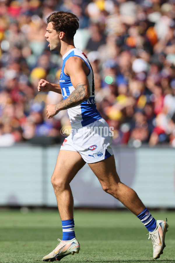 AFL 2025 Round 03 - Adelaide v North Melbourne - A-58224556