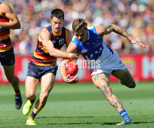 AFL 2025 Round 03 - Adelaide v North Melbourne - A-58224561