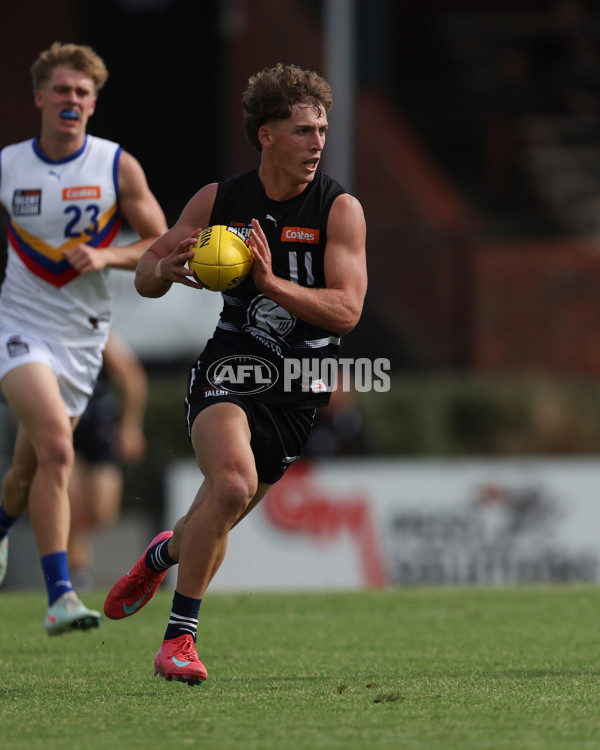 Coates League Boys 2025 Round 01 - Northern Knights v Eastern Ranges - A-58224564