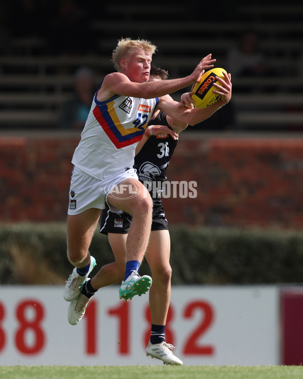 Coates League Boys 2025 Round 01 - Northern Knights v Eastern Ranges - A-58226401