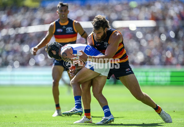 AFL 2025 Round 03 - Adelaide v North Melbourne - A-58226411