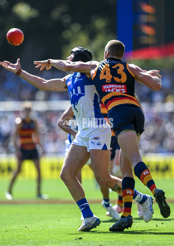 AFL 2025 Round 03 - Adelaide v North Melbourne - A-58226429