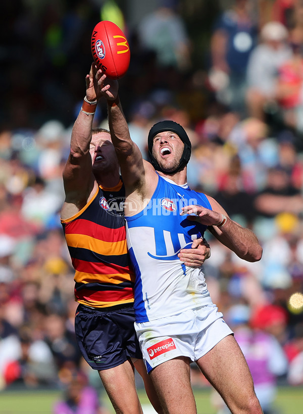 AFL 2025 Round 03 - Adelaide v North Melbourne - A-58226432