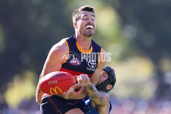 AFL 2025 Round 03 - Adelaide v North Melbourne - A-58226433