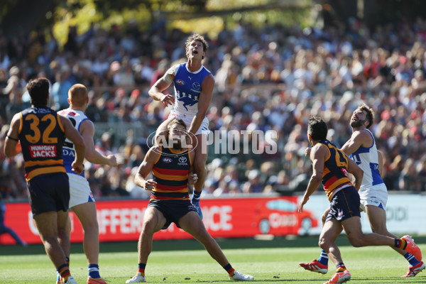 AFL 2025 Round 03 - Adelaide v North Melbourne - A-58226434