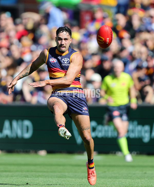 AFL 2025 Round 03 - Adelaide v North Melbourne - A-58226456