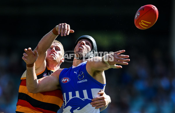 AFL 2025 Round 03 - Adelaide v North Melbourne - A-58226460