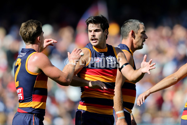 AFL 2025 Round 03 - Adelaide v North Melbourne - A-58226464