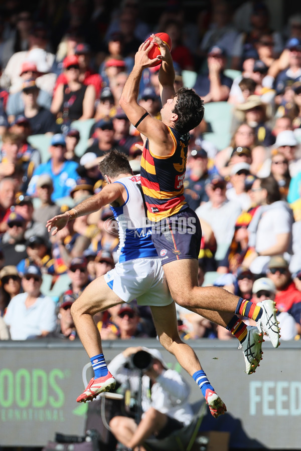 AFL 2025 Round 03 - Adelaide v North Melbourne - A-58226473