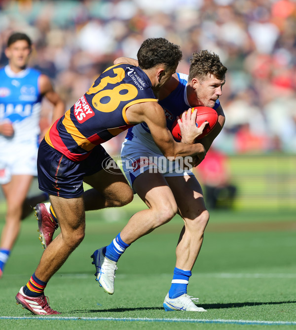 AFL 2025 Round 03 - Adelaide v North Melbourne - A-58226474