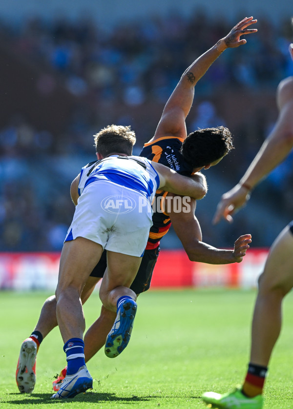 AFL 2025 Round 03 - Adelaide v North Melbourne - A-58226491