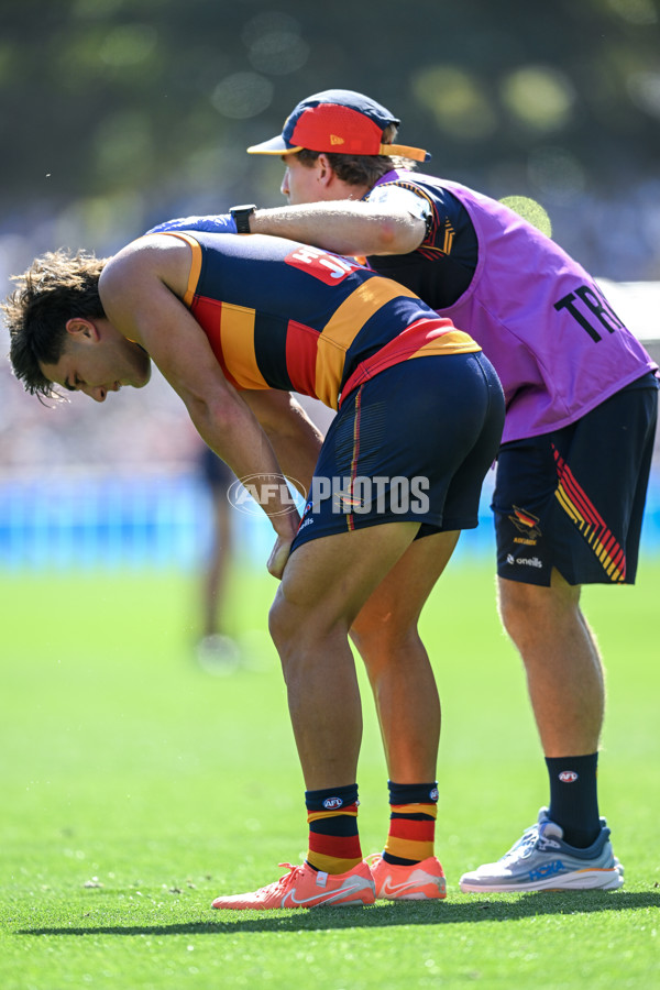 AFL 2025 Round 03 - Adelaide v North Melbourne - A-58226913