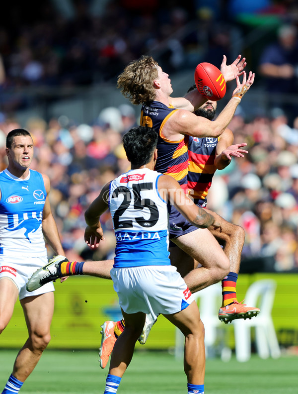 AFL 2025 Round 03 - Adelaide v North Melbourne - A-58226916