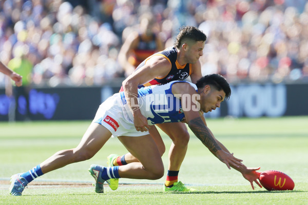 AFL 2025 Round 03 - Adelaide v North Melbourne - A-58226923