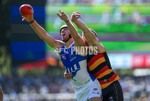 AFL 2025 Round 03 - Adelaide v North Melbourne - A-58226927