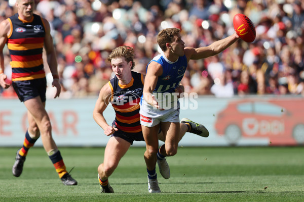 AFL 2025 Round 03 - Adelaide v North Melbourne - A-58226929