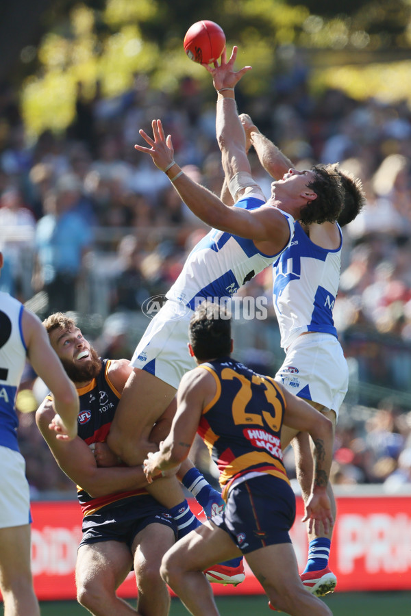 AFL 2025 Round 03 - Adelaide v North Melbourne - A-58226931