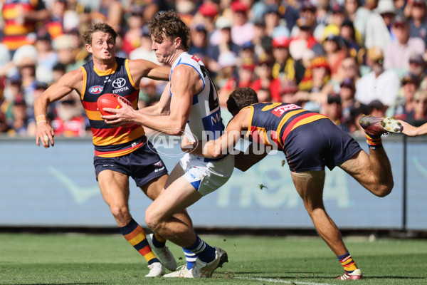 AFL 2025 Round 03 - Adelaide v North Melbourne - A-58226934