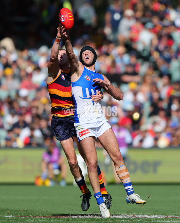 AFL 2025 Round 03 - Adelaide v North Melbourne - A-58226935