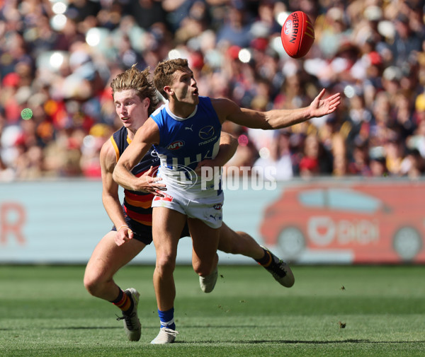 AFL 2025 Round 03 - Adelaide v North Melbourne - A-58226936