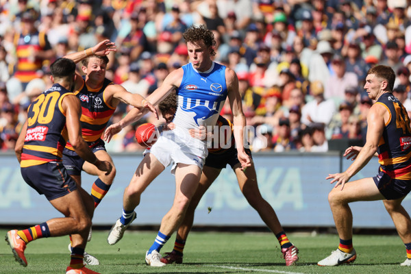 AFL 2025 Round 03 - Adelaide v North Melbourne - A-58226937