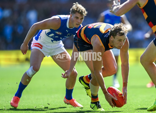 AFL 2025 Round 03 - Adelaide v North Melbourne - A-58226953