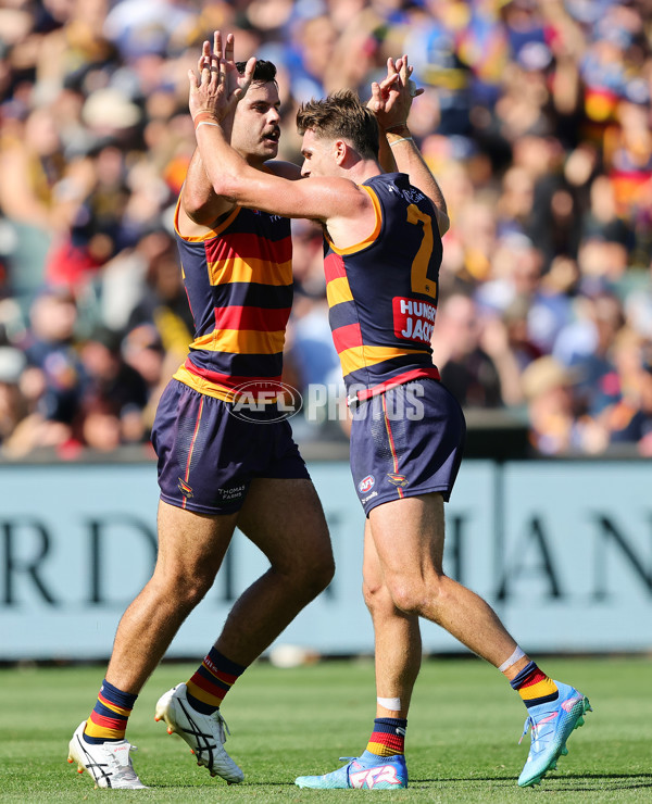 AFL 2025 Round 03 - Adelaide v North Melbourne - A-58226955