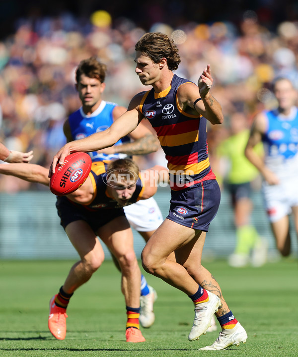 AFL 2025 Round 03 - Adelaide v North Melbourne - A-58226959