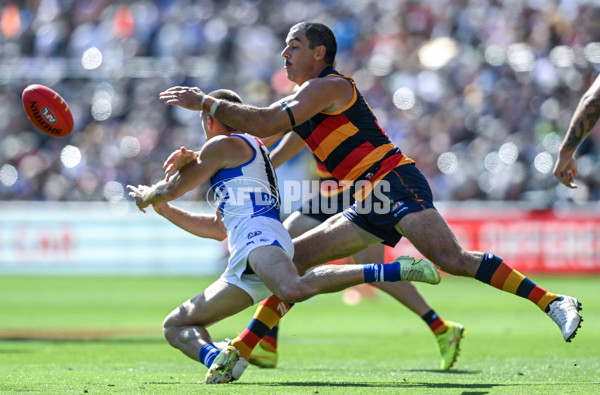 AFL 2025 Round 03 - Adelaide v North Melbourne - A-58226961