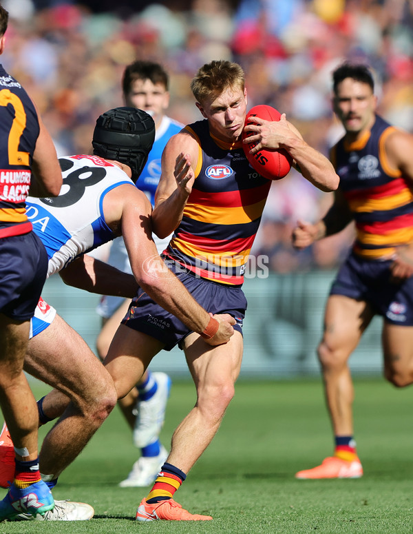 AFL 2025 Round 03 - Adelaide v North Melbourne - A-58226962