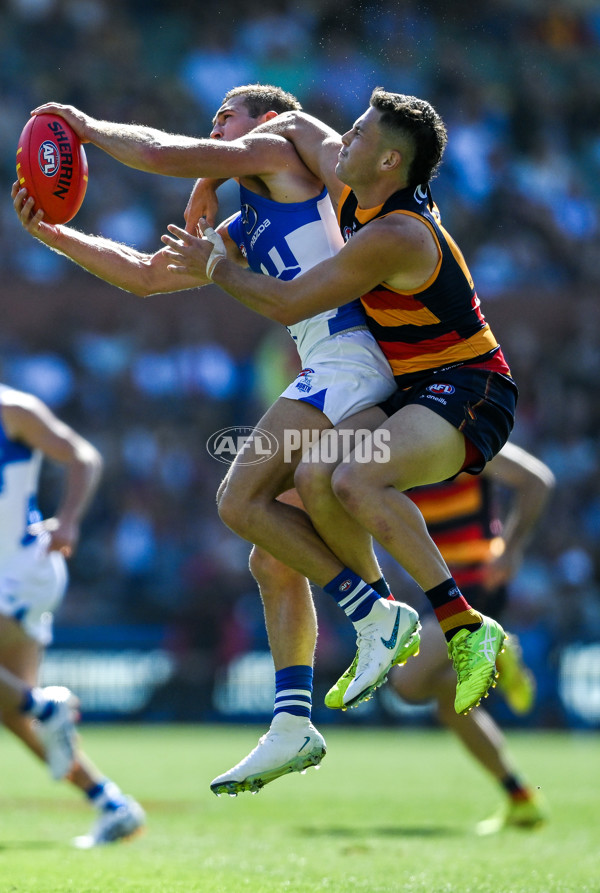 AFL 2025 Round 03 - Adelaide v North Melbourne - A-58226965