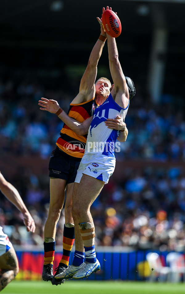 AFL 2025 Round 03 - Adelaide v North Melbourne - A-58226974