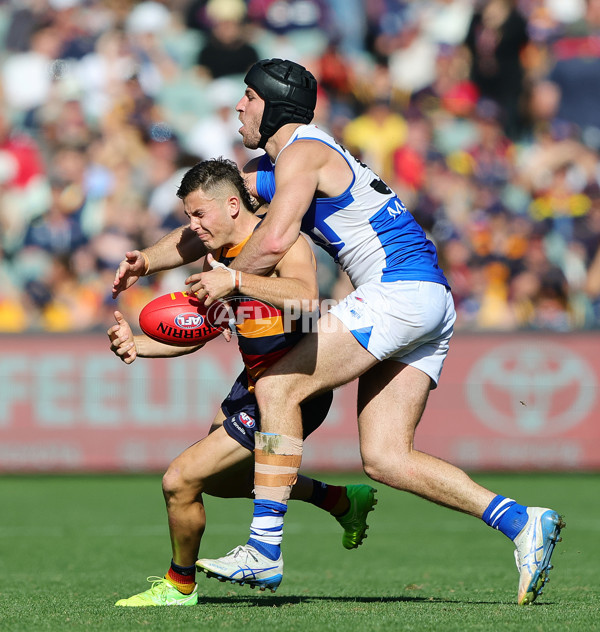 AFL 2025 Round 03 - Adelaide v North Melbourne - A-58226995
