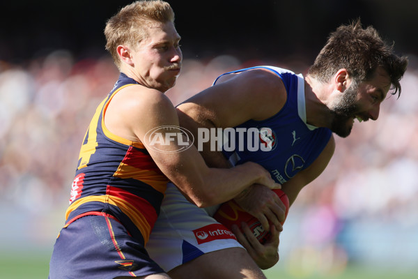 AFL 2025 Round 03 - Adelaide v North Melbourne - A-58228984