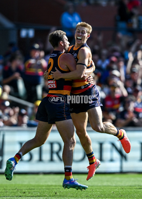 AFL 2025 Round 03 - Adelaide v North Melbourne - A-58228996